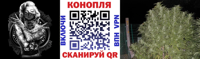 Где купить Ужур Кетамин  Каннабис  Кокаин  Alpha-PVP  Амфетамин  МЕТАМФЕТАМИН 