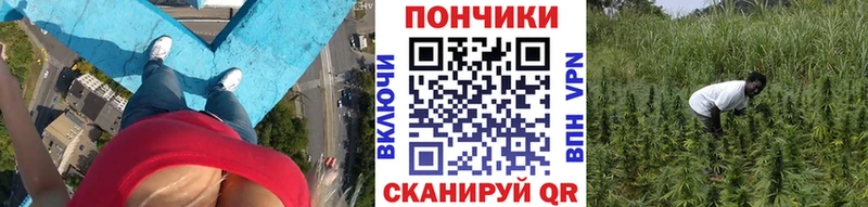 Бошки Шишки OG Kush  как найти   OMG ONION  Ужур 
